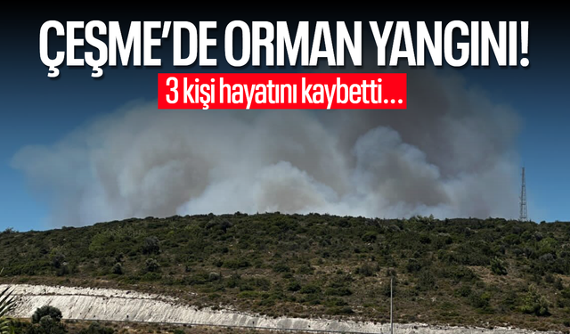 İzmir'de orman yangını! 3 kişi hayatını kaybetti