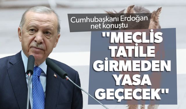 Cumhurbaşkanı Erdoğan'dan sokak köpeği açıklaması... "Meclis tatile girmeden yasa geçecek"