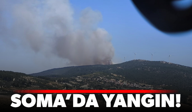Soma'da orman yangını...