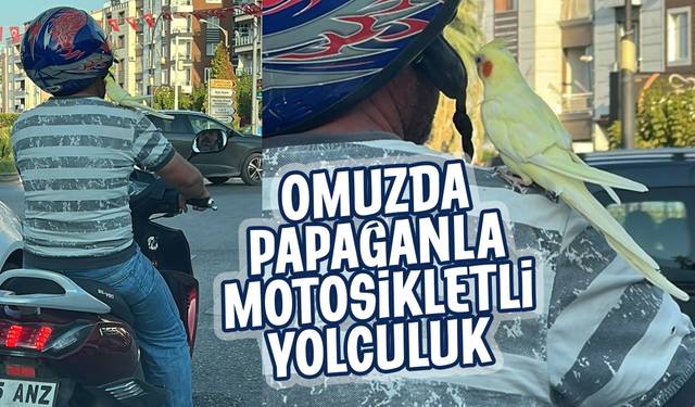 Omuzda papağanla motosikletli yolculuk