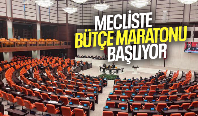 TBMM'de 2025 yılı bütçe maratonu başlıyor