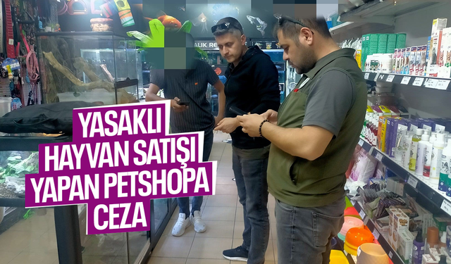 Mısır yılanı ve sakallı ejder satışı yapan petshopa ceza