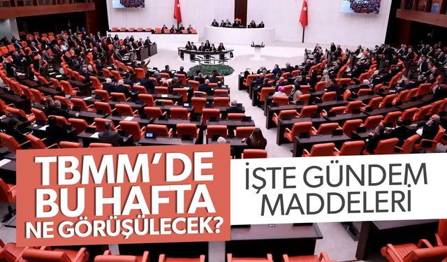 TBMM'de bu hafta neler görüşülecek?