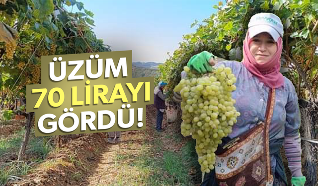 Yaş üzümün kilosu 70 lirayı gördü