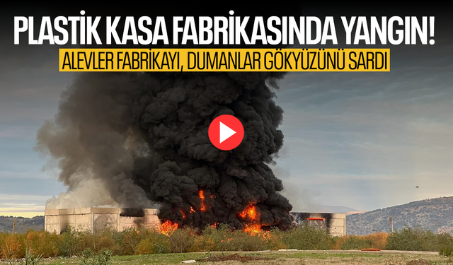 Alevler fabrikayı, dumanlar gökyüzünü sardı; itfaiye müdahale ediyor...