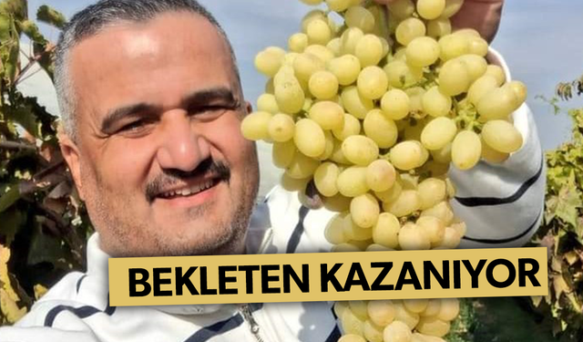 Üzümünü bağında bekletenler daha fazla kazanıyor