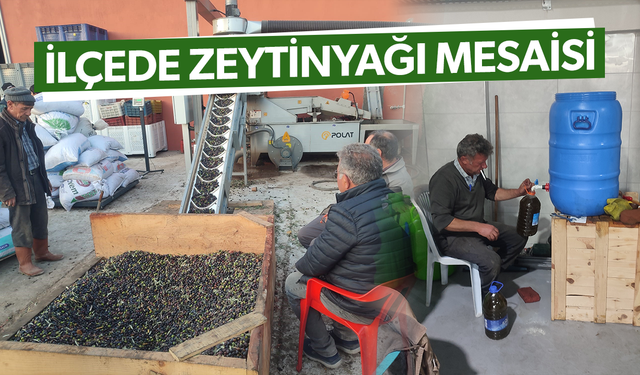 Çiftçilerin zeytinyağı mesaisi sürüyor