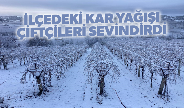 Kar yağışı çiftçileri sevindirdi