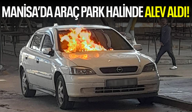 Park halindeki araç alev alıp yandı