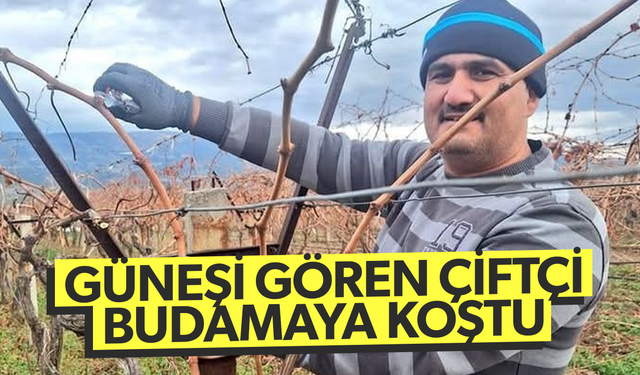 Güneşi gören çiftçi bağını budamaya koştu