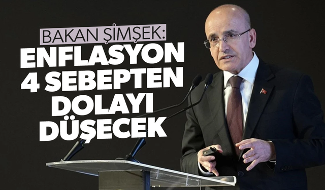 Mehmet Şimşek: Enflasyon 4 sebepten dolayı düşecek