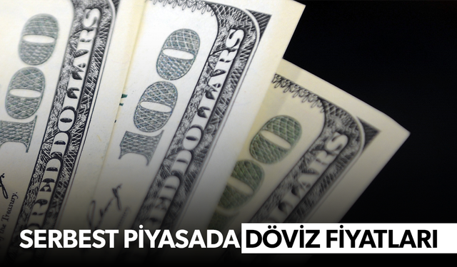 Serbest piyasada döviz fiyatları