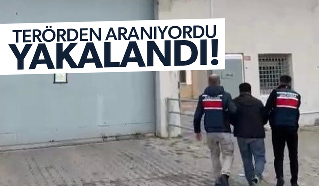 Terör örgütü propagandasından aranan şahıs yakalandı