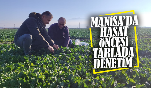 Manisa’da gıdalar sofraya gelmeden tarlada denetleniyor