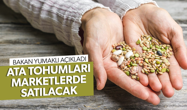 Ata tohumları marketlerde satılacak