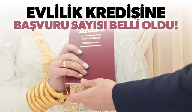 Aile ve Gençlik Fonu’na başvuran genç sayısı 10 bini geçti