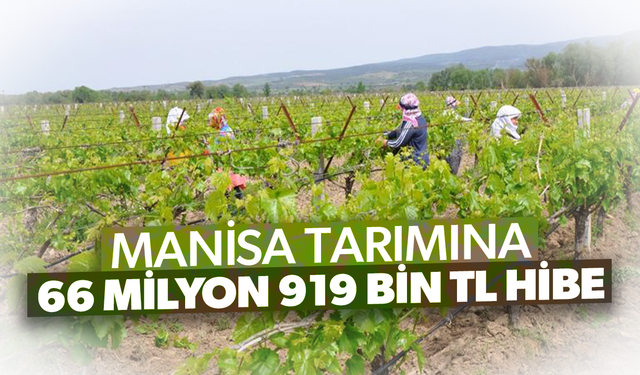 Manisa tarımına toplam 66 milyon 919 bin TL hibe