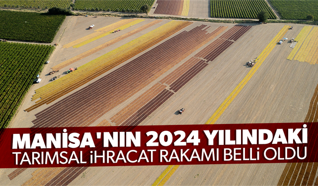 Manisa'nın 2024 yılındaki tarımsal ihracat rakamı belli oldu