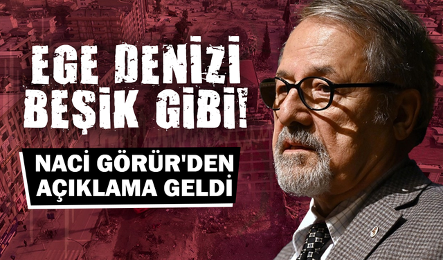 Ege Denizi beşik gibi! Naci Görür'den açıklama geldi