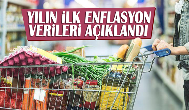 Yılın ilk enflasyon verileri açıklandı