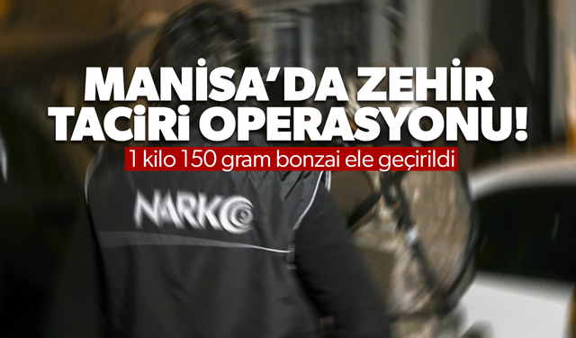 Manisa’da 1 kilo 150 gram bonzai ele geçirildi