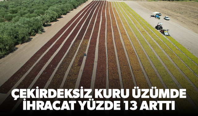 Çekirdeksiz kuru üzümde ihracat yüzde 13 arttı