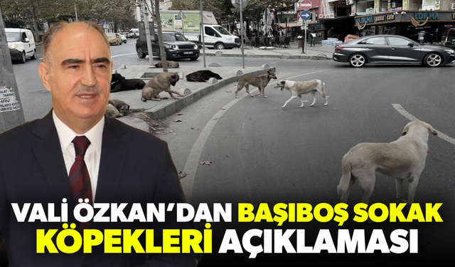 Manisa Valisi Özkan’dan sahipsiz köpeklere ilişkin açıklama!