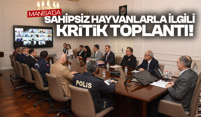 Sahipsiz hayvanlarla ilgili kritik toplantı!