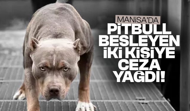Manisa’da pitbull besleyen iki kişiye 304 bin lira ceza