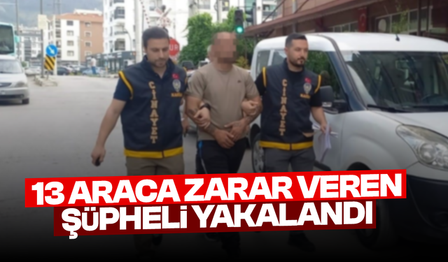13 araca zarar veren şüpheli yakalandı
