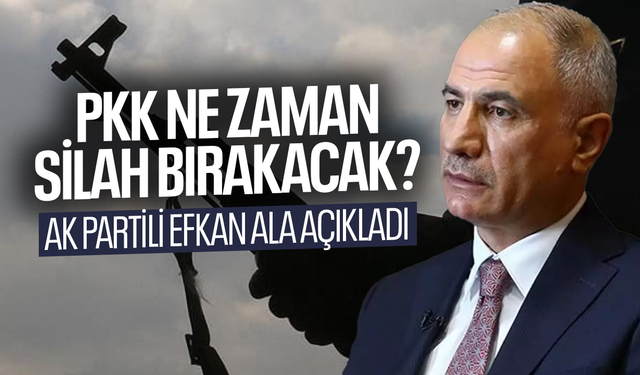 PKK ne zaman silah bırakacak? AK Partili Efkan Ala açıkladı