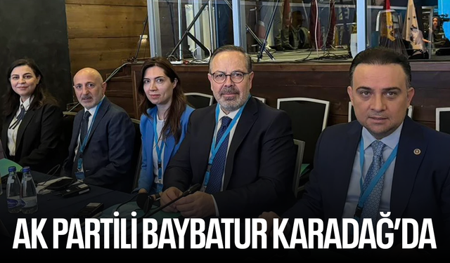 AK Partili Baybatur Karadağ'da