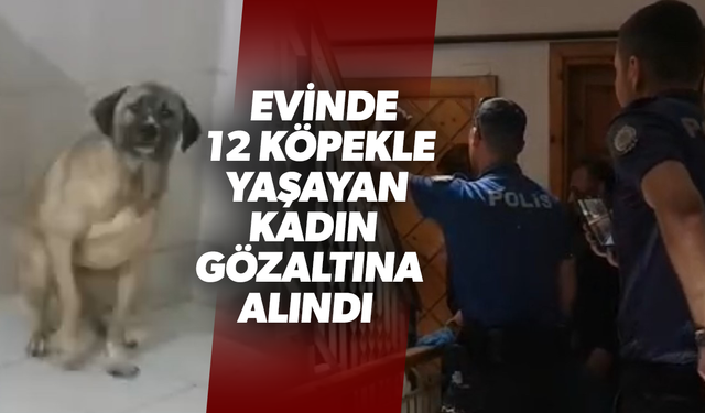 Turgutlu’da evinde 12 köpekle yaşayan kadın gözaltına alındı