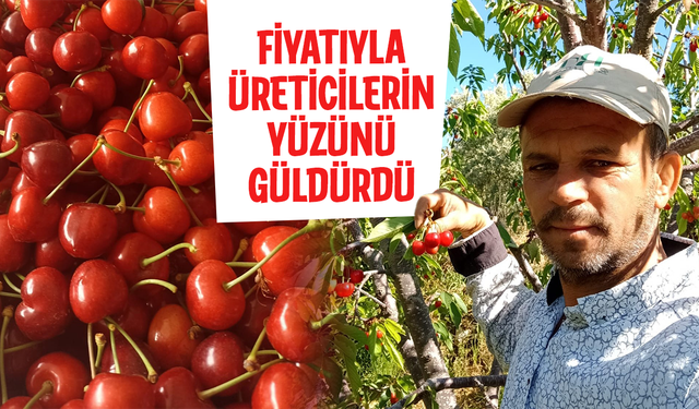 Fiyatıyla üreticilerin yüzünü güldürdü