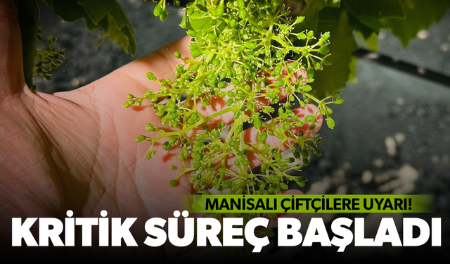Bağcılara ’Külleme ve Ölükol Hastalığı’ uyarısı
