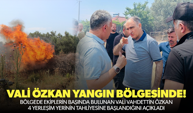 Vali Özkan yangın bölgesindeki son durumu açıkladı