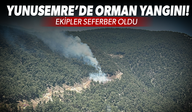 Yunusemre'de orman yangını! Ekipler seferber oldu...