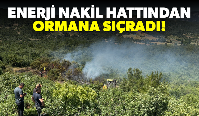 Enerji nakil hattından ormana sıçrayan yangın kontrol altına alındı