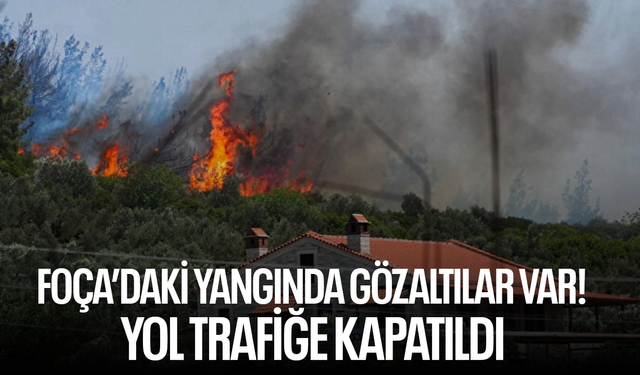 İzmir Foça’daki yangında gözaltılar var! Yol trafiğe kapatıldı