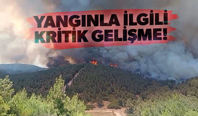 Foça'daki yangın kontrol altında! Soğutma çalışmaları başladı