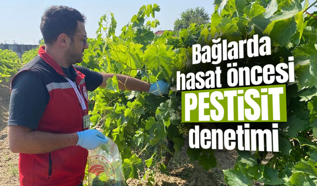 Hasat öncesi pestisit denetimi