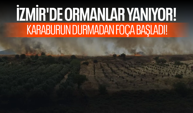 İzmir'de orman yangını! Karaburun durmadan Foça başladı!