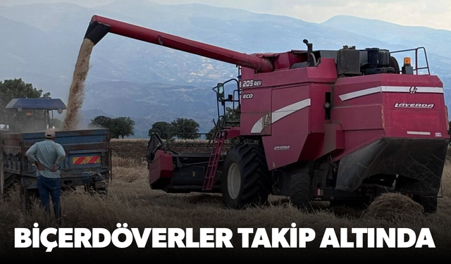 Manisa'da biçerdöverler takip altında