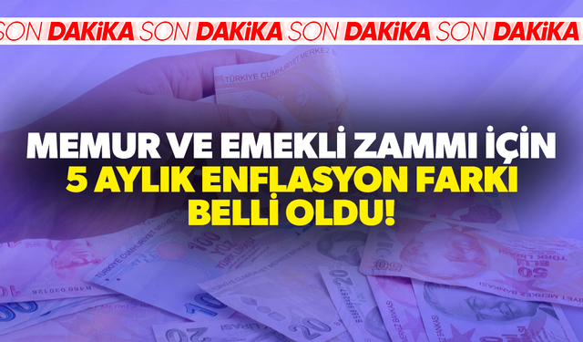 Memur ve emekli zammı için 5 aylık enflasyon farkı belli oldu!