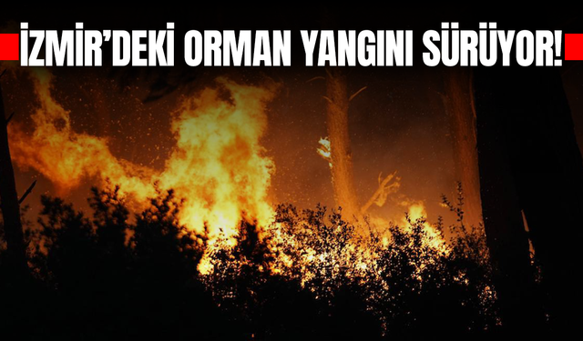 İzmir'deki orman yangını ikinci gününde sürüyor!