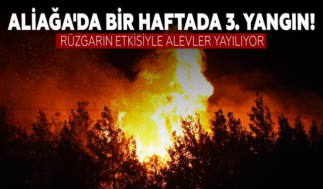 Aliağa'da aynı haftada 3. yangın!