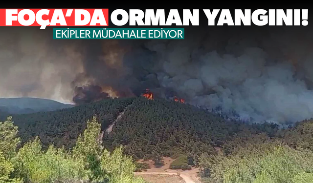 Foça'da çıkan yangına müdahale ediliyor