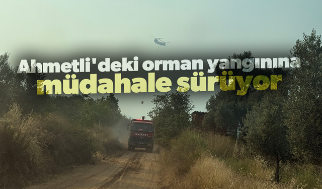 Ahmetli'deki orman yangınına müdahale sürüyor