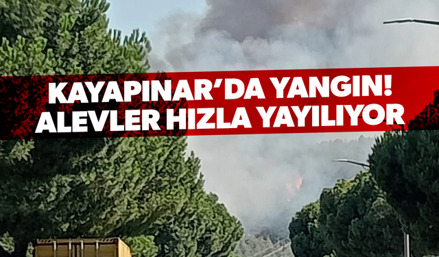 Kayapınar’da yangın alarmı: Alevler hızla yayılıyor!