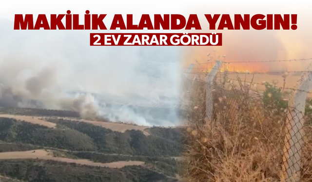 Turgutlu'da makilik alanda yangın! 2 ev zarar gördü